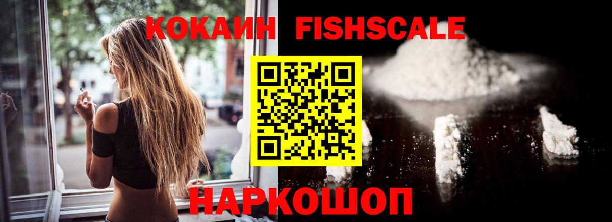 сколько стоит  Вход с VPN  Краснодар  Cocaine Fish Scale 