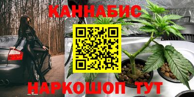 ГАЛЛЮЦИНОГЕННЫЕ ГРИБЫ Кандалакша