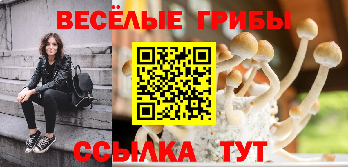 Галлюциногенные грибы мухоморы  Вход с VPN  Краснодар 