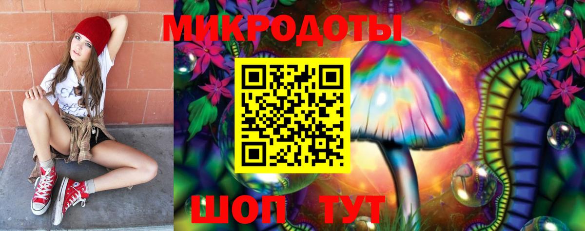 Галлюциногенные грибы Psilocybine cubensis Краснодар